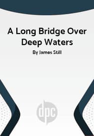 A Long Bridge Over Deep Waters Book Cover