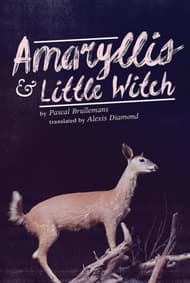 Amaryllis & Little Witch Book Cover
