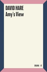 Amy's View Book Cover