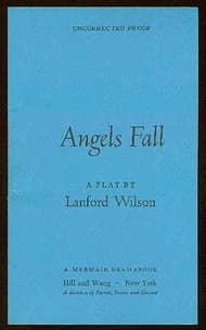 Angel's Fall Book Cover