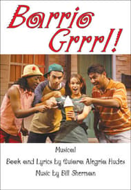 Barrio Grrrl! Book Cover