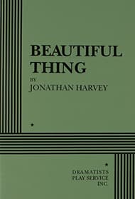 Beautiful Thing Book Cover
