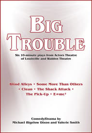 Big Trouble Book Cover