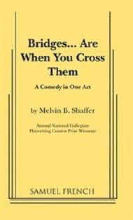 Bridges ... Are When You Cross Them Book Cover