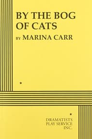 By The Bog Of Cats Book Cover