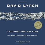 Catching the Big Fish: Meditation, Consciousness, and Creativity (10th Anniversary Edition) Book Cover