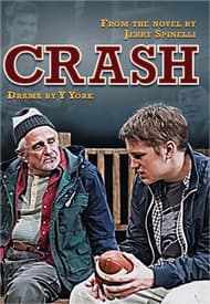 Crash Book Cover