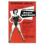 Damn Yankees  Book Cover