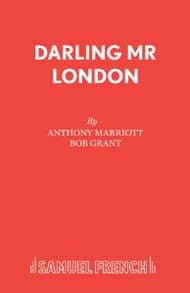 Darling Mr. London Book Cover