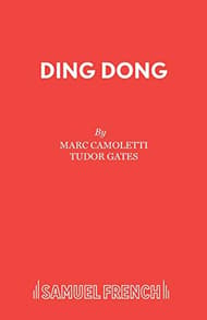 Ding Dong Book Cover