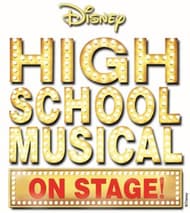 Disney's High School Musical Book Cover