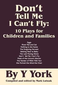 Don't Tell Me I Can't Fly Book Cover