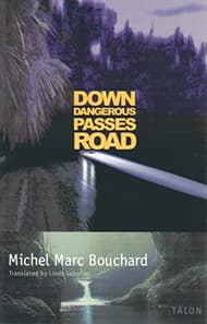 Down Dangerous Passes Road Book Cover