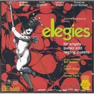 Elegies for Angels, Punks and Raging Queens (Cast Recording CD) Book Cover