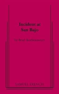 Incident At San Bajo Book Cover