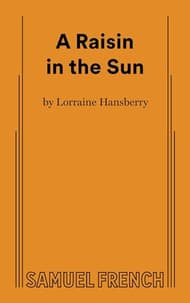 Lorraine Hansberry's A Raisin In The Sun Book Cover