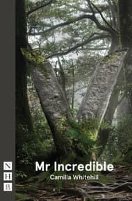 Mr Incredible (VAULT version) Book Cover