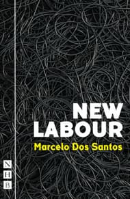 New Labour Book Cover