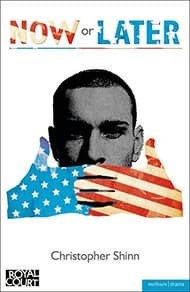 Now Or Later Book Cover