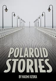 Polaroid Stories Book Cover