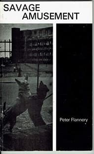 Savage Amusement Book Cover