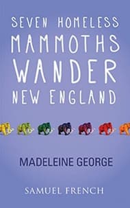 Seven Homeless Mammoths Wander New England Book Cover