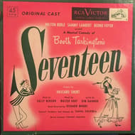 Seventeen - The Musical Book Cover