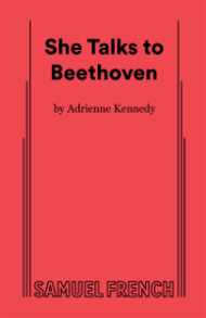 She Talks to Beethoven Book Cover