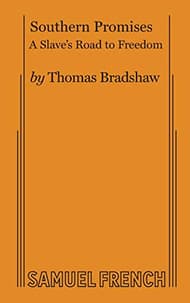 Southern Promises Book Cover