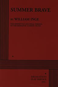 Summer Brave Book Cover