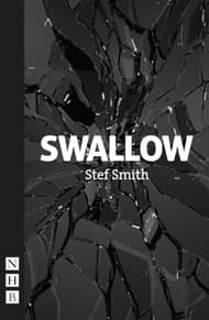 Swallow Book Cover