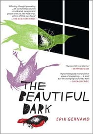 The Beautiful Dark Book Cover