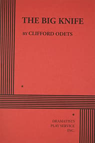 The Big Knife Book Cover
