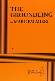 The Groundling Book Cover