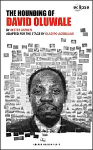 The Hounding Of David Oluwale Book Cover