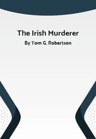 The Irish Murderer Book Cover