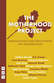 The Motherhood Project Book Cover