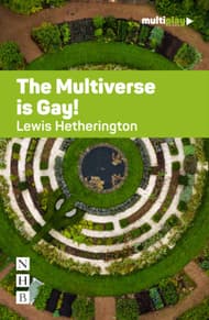 The Multiverse is Gay! Book Cover
