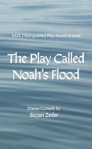 The Play Called Noah's Flood Book Cover