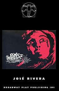 The Promise Book Cover
