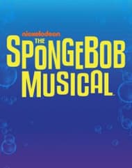 The SpongeBob Musical Book Cover