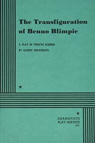 The Transfiguration Of Benno Blimpie Book Cover