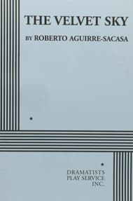 The Velvet Sky Book Cover