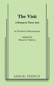 The Visit Book Cover
