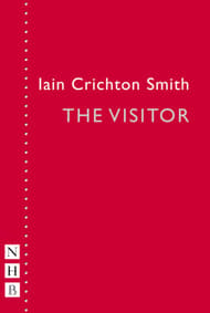 The Visitor Book Cover