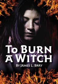 To Burn a Witch Book Cover
