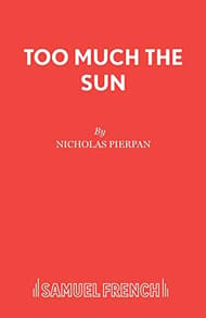 Too Much The Sun Book Cover