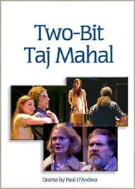 Two-Bit Taj Mahal Book Cover