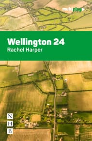 Wellington 24 Book Cover