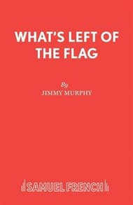 What's Left of the Flag Book Cover